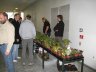 Bromeliads for sale - <p>Dendrobates.dk selling plants</p>